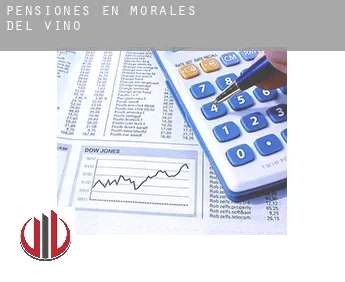 Pensiones en  Morales del Vino