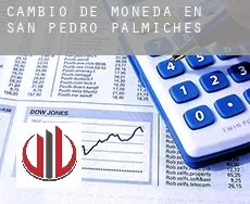 Cambio de moneda en San Pedro Palmiches