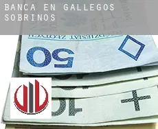 Banca en Gallegos de Sobrinos