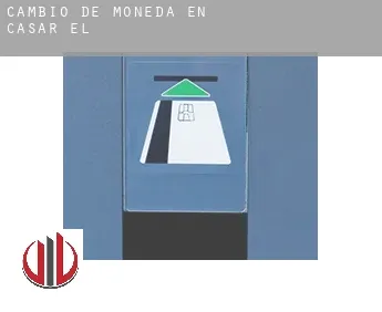 Cambio de moneda en  Casar (El)