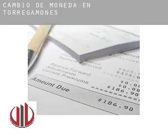 Cambio de moneda en  Torregamones