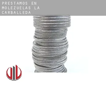 Préstamos en  Molezuelas de la Carballeda