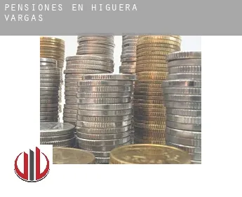 Pensiones en Higuera de Vargas
