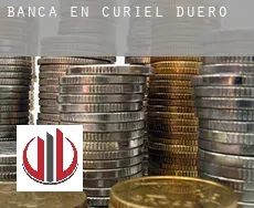 Banca en Curiel de Duero