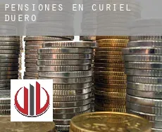 Pensiones en Curiel de Duero