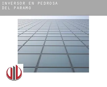 Inversor en  Pedrosa del Páramo