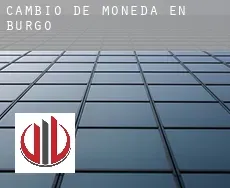 Cambio de moneda en Burgos