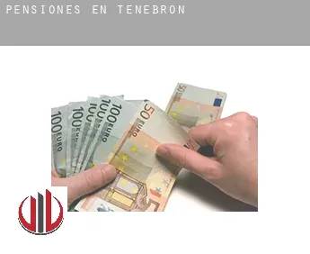 Pensiones en  Tenebrón