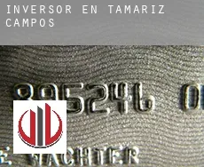 Inversor en  Tamariz de Campos