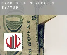 Cambio de moneda en Beamud