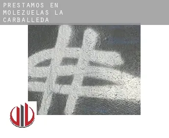Préstamos en  Molezuelas de la Carballeda