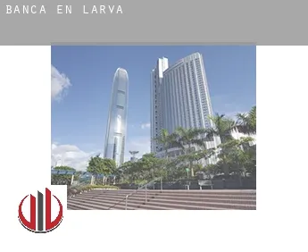 Banca en  Larva