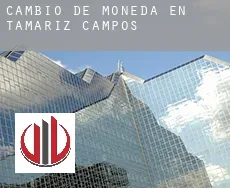 Cambio de moneda en  Tamariz de Campos