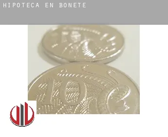 Hipoteca en  Bonete