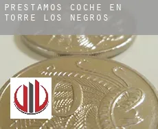 Préstamos coche en  Torre los Negros