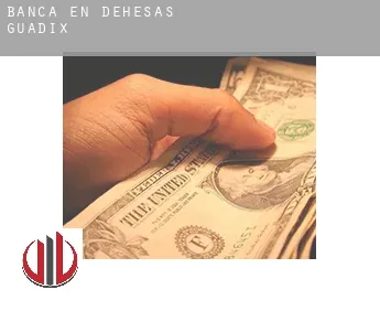 Banca en  Dehesas de Guadix