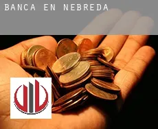 Banca en Nebreda