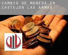 Cambio de moneda en Castejón de las Armas