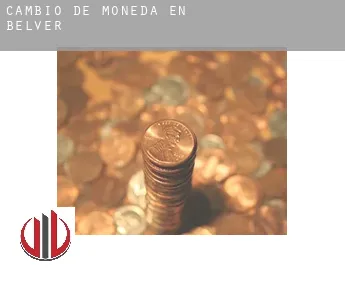 Cambio de moneda en  Belver