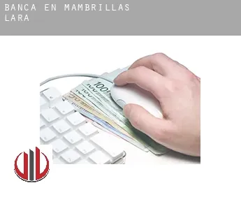 Banca en  Mambrillas de Lara