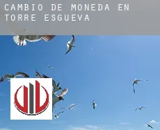 Cambio de moneda en Torre de Esgueva
