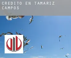 Crédito en Tamariz de Campos