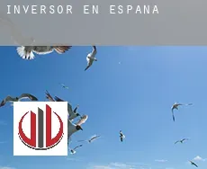 Inversor en  España
