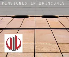 Pensiones en  Brincones