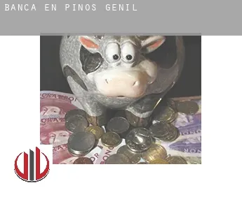 Banca en Pinos Genil