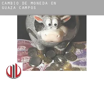 Cambio de moneda en Guaza de Campos