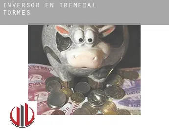 Inversor en  Tremedal de Tormes