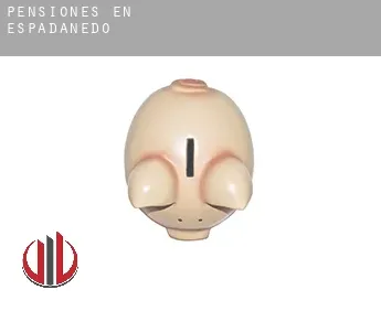 Pensiones en  Espadañedo