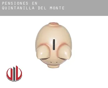 Pensiones en  Quintanilla del Monte