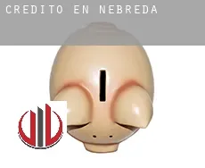 Crédito en  Nebreda