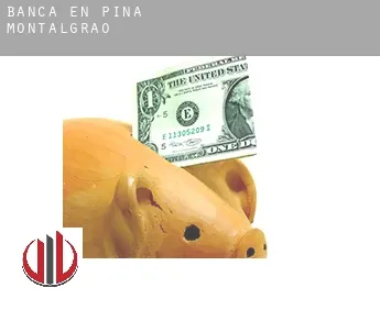 Banca en  Pina de Montalgrao