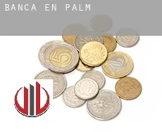 Banca en  Palma