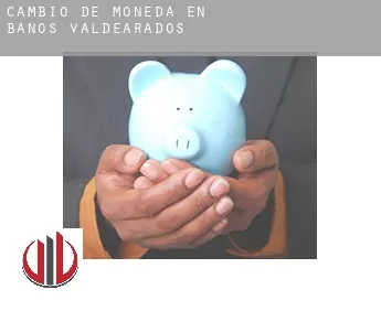 Cambio de moneda en  Baños de Valdearados