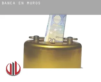 Banca en  Muros