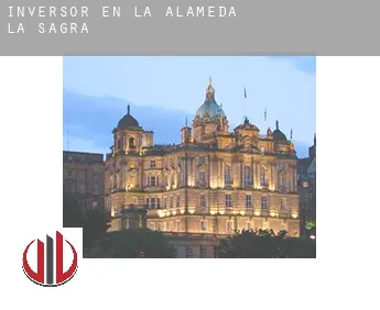 Inversor en  La Alameda de la Sagra
