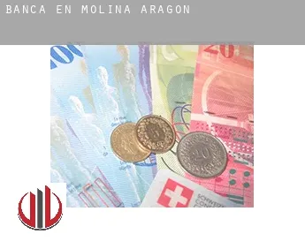 Banca en  Molina de Aragón