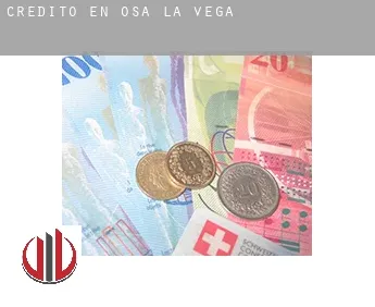 Crédito en  Osa de la Vega