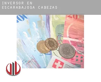 Inversor en  Escarabajosa de Cabezas