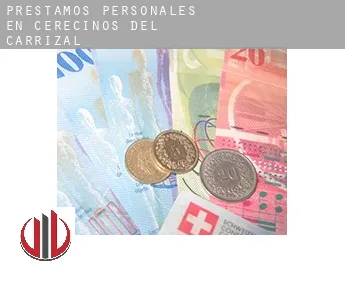 Préstamos personales en  Cerecinos del Carrizal