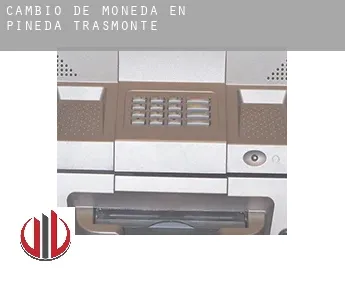Cambio de moneda en  Pineda Trasmonte