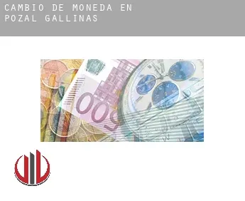 Cambio de moneda en  Pozal de Gallinas