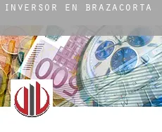 Inversor en Brazacorta