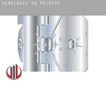 Pensiones en  Pelayos