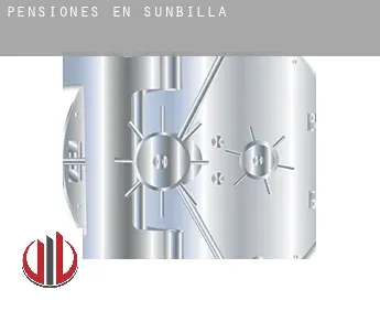 Pensiones en  Sunbilla