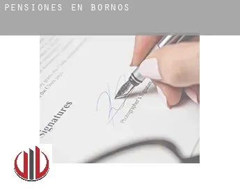 Pensiones en  Bornos