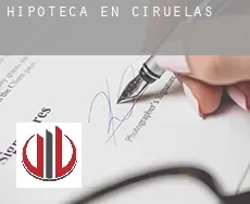 Hipoteca en  Ciruelas